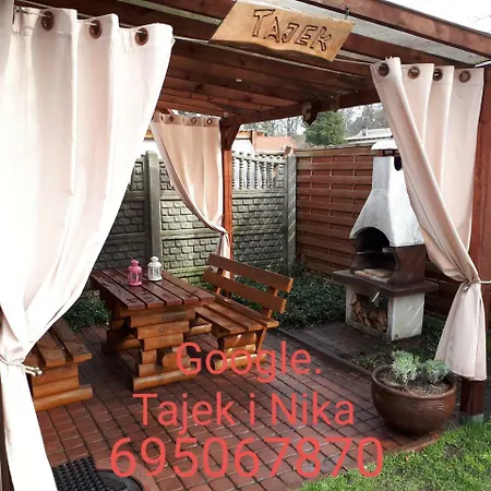 Tajek * Stegna (Pomerania)